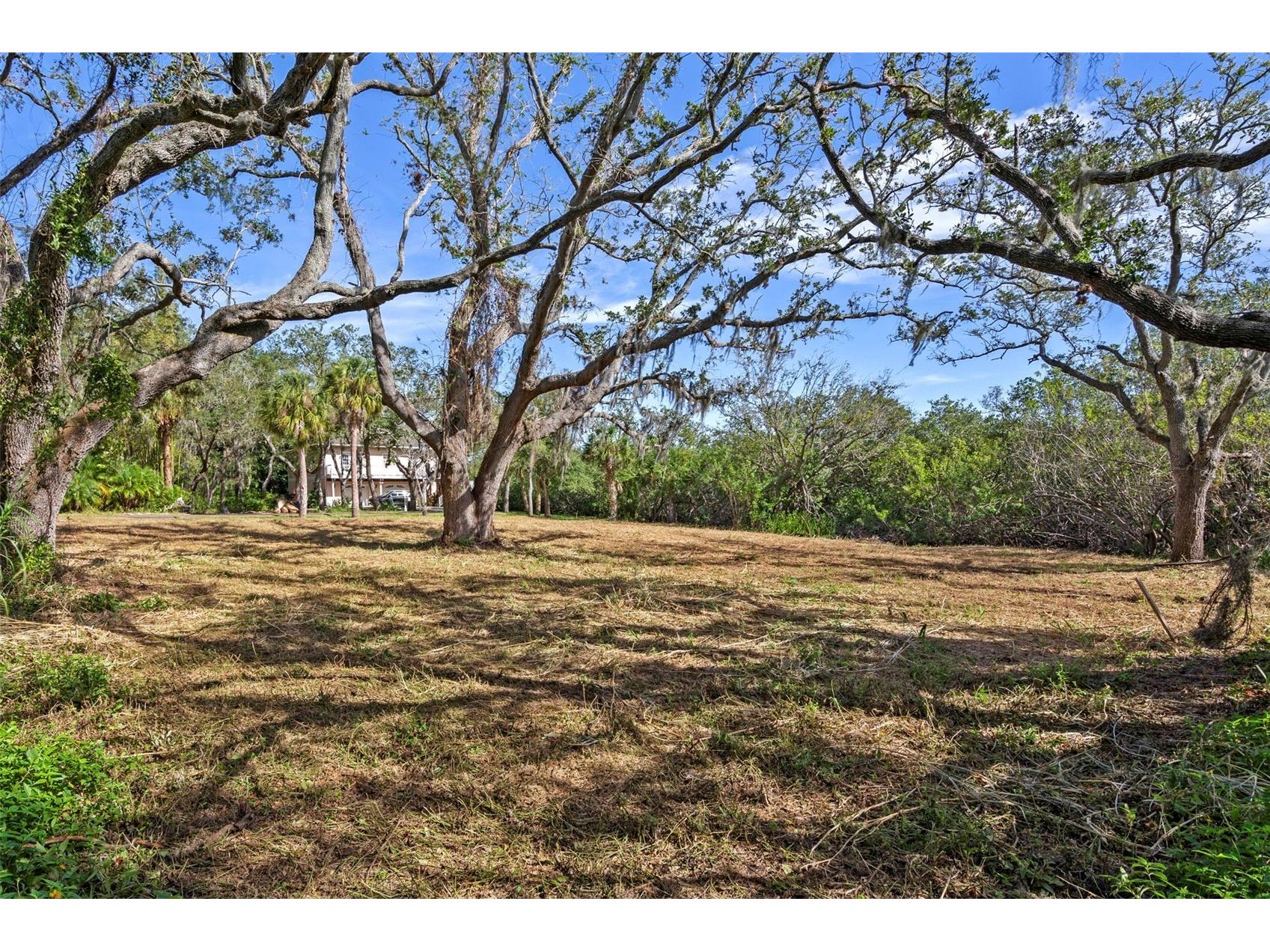 Irwin Street Safety Harbor FL 34695 TB8496031 image6