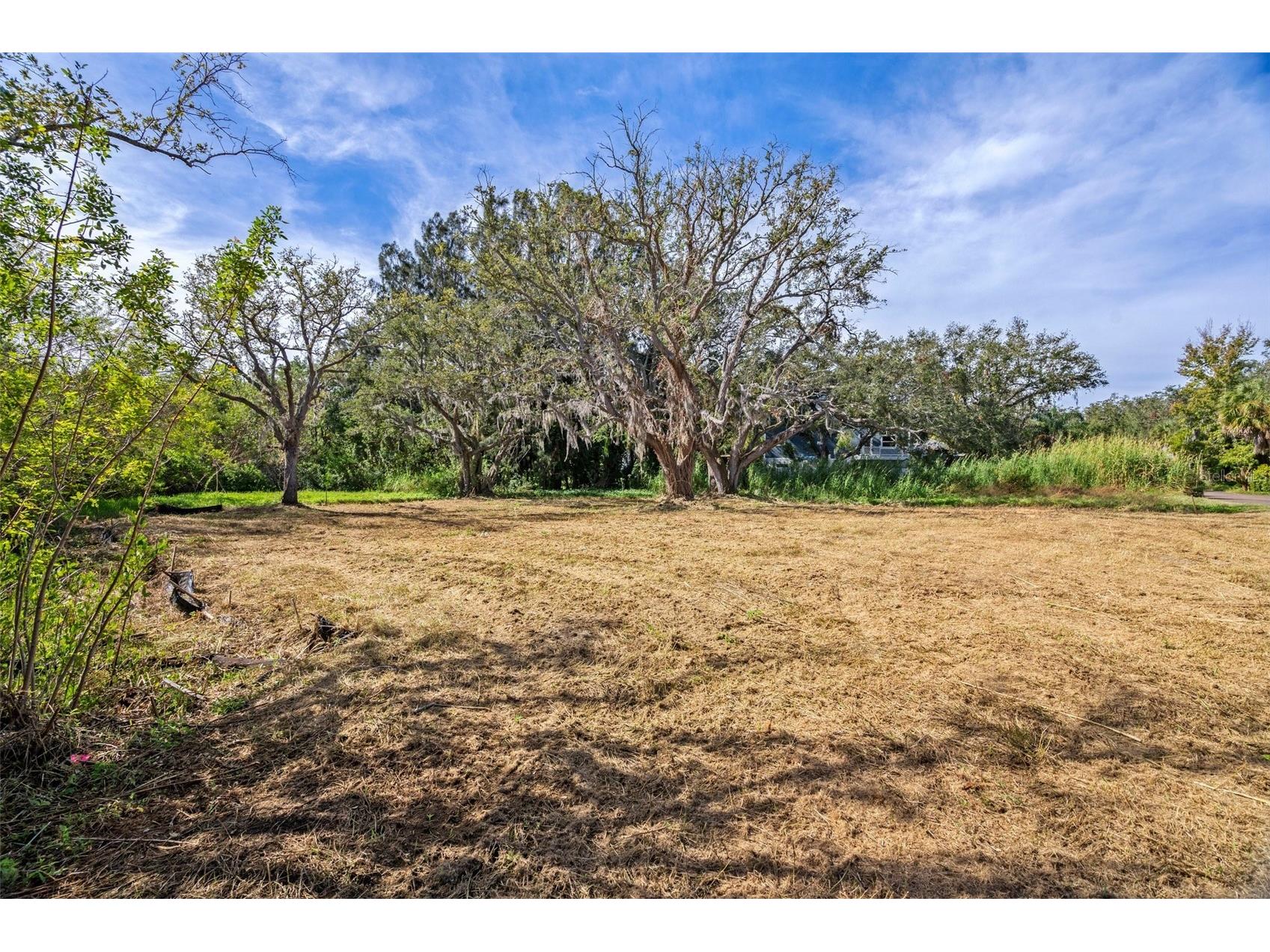 Irwin Street Safety Harbor FL 34695 TB8496031 image8