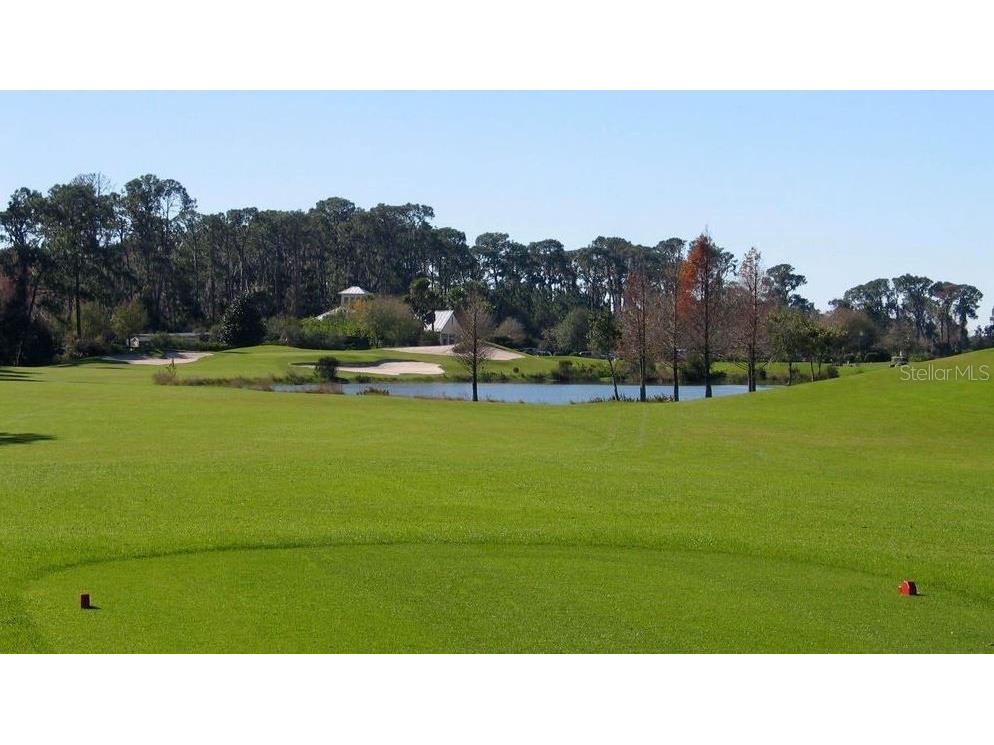 Island Club Drive Tavares FL 32778 R4907647 image11