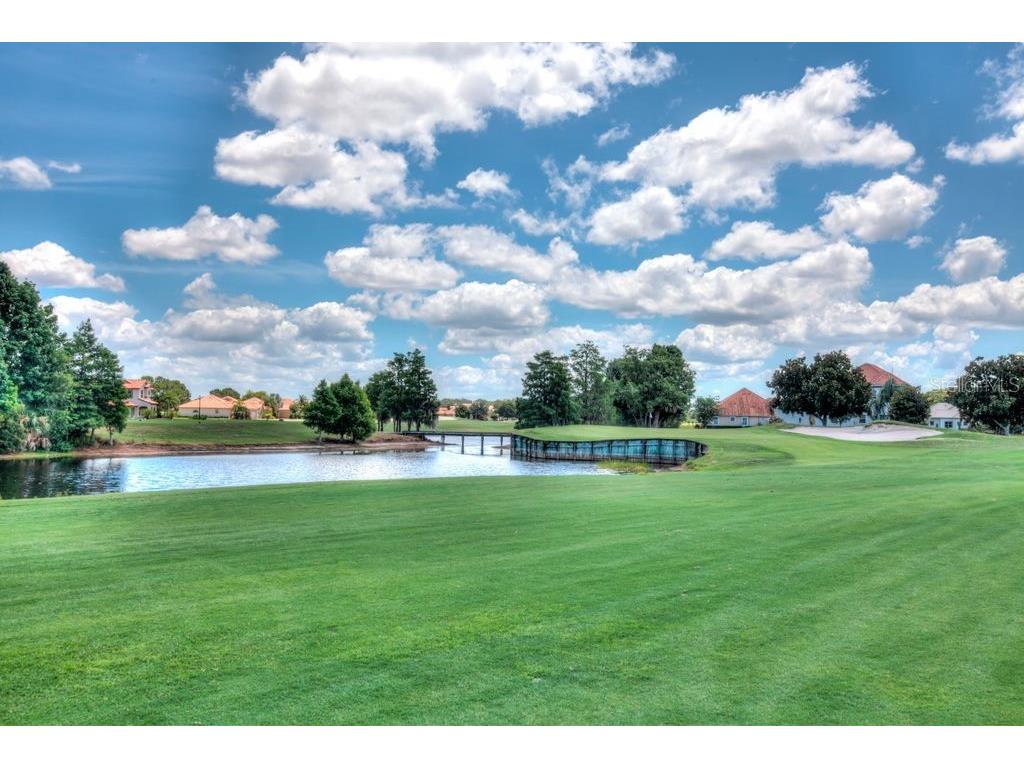Island Club Drive Tavares FL 32778 R4907647 image13