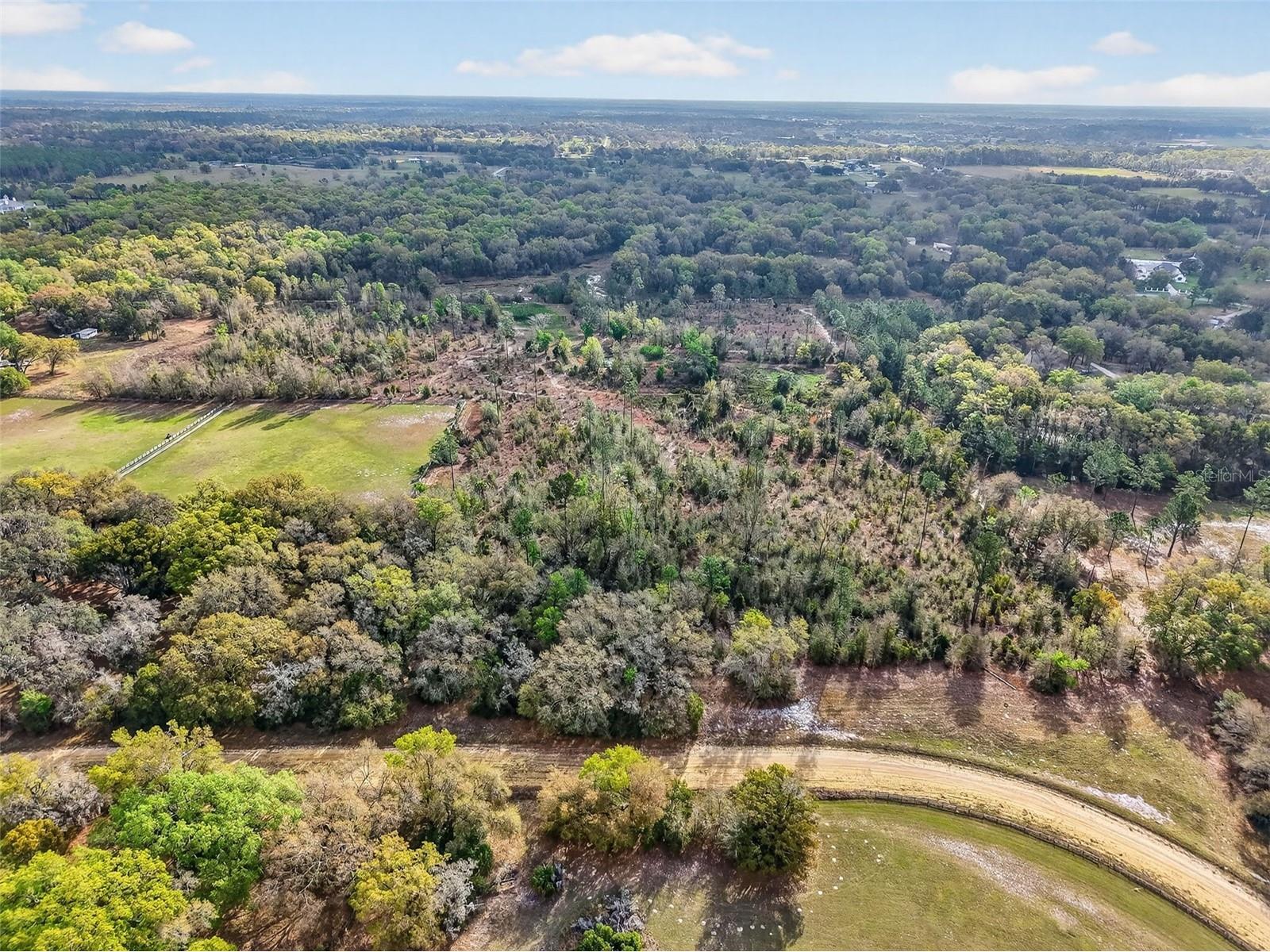 Island Pond Lane Eustis FL 32736 G5109920 image10