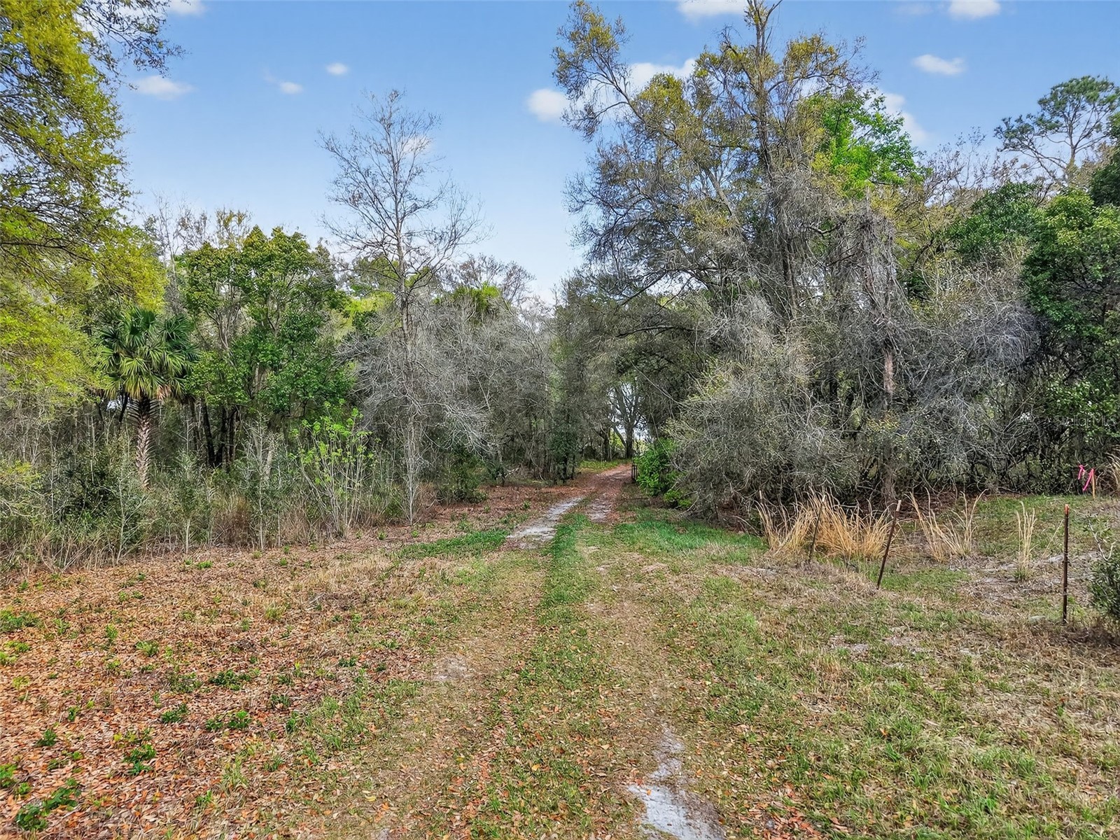 Island Pond Lane Eustis FL 32736 G5109920 image11