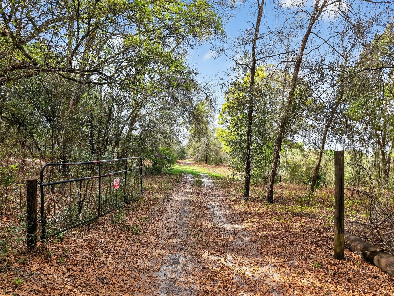 Island Pond Lane Eustis FL 32736 G5109920 image12