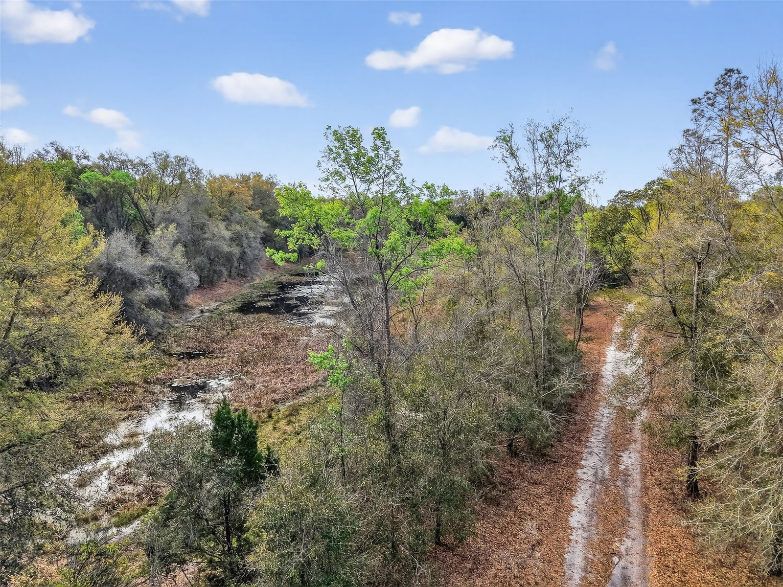Island Pond Lane Eustis FL 32736 G5109920 image17