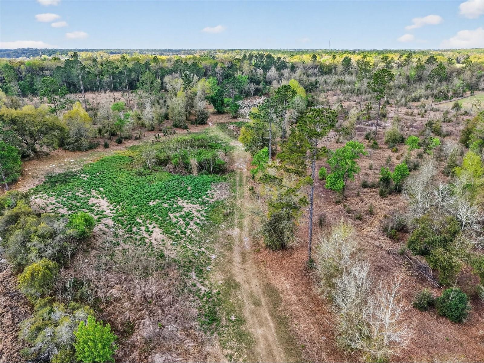 Island Pond Lane Eustis FL 32736 G5109920 image18
