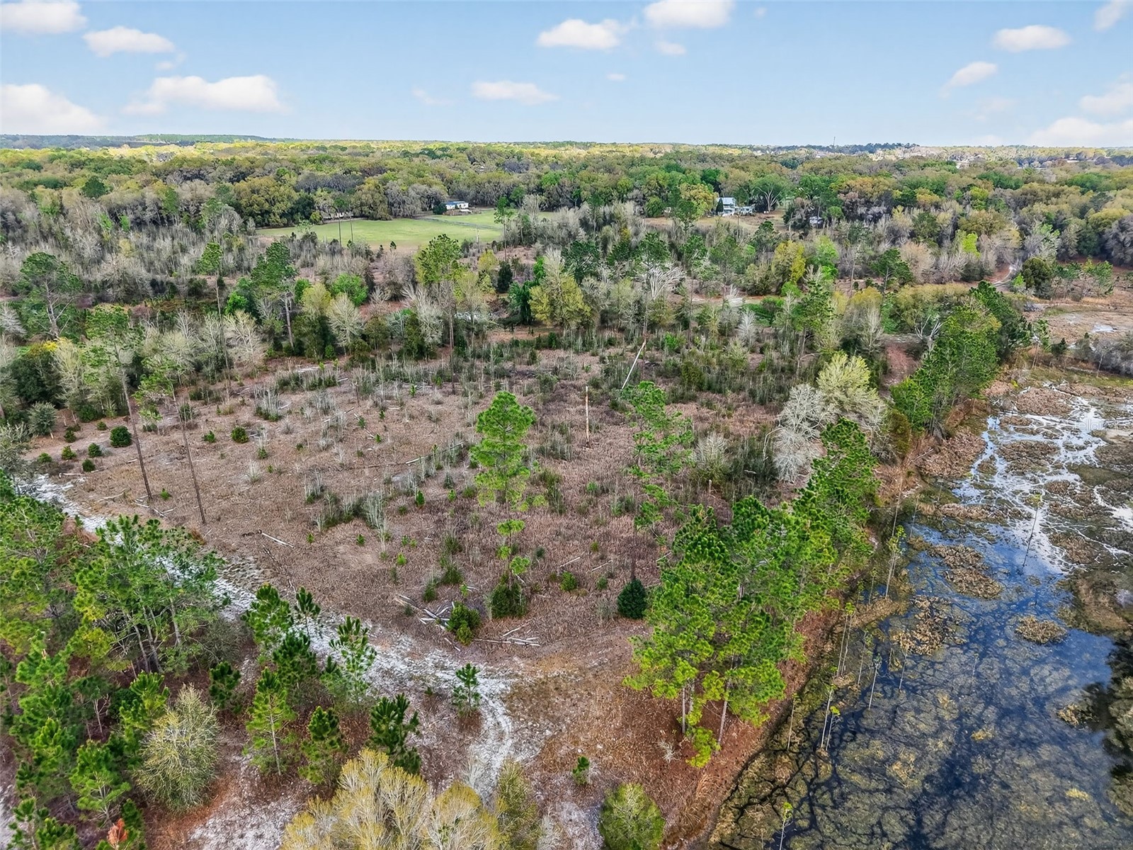 Island Pond Lane Eustis FL 32736 G5109920 image19
