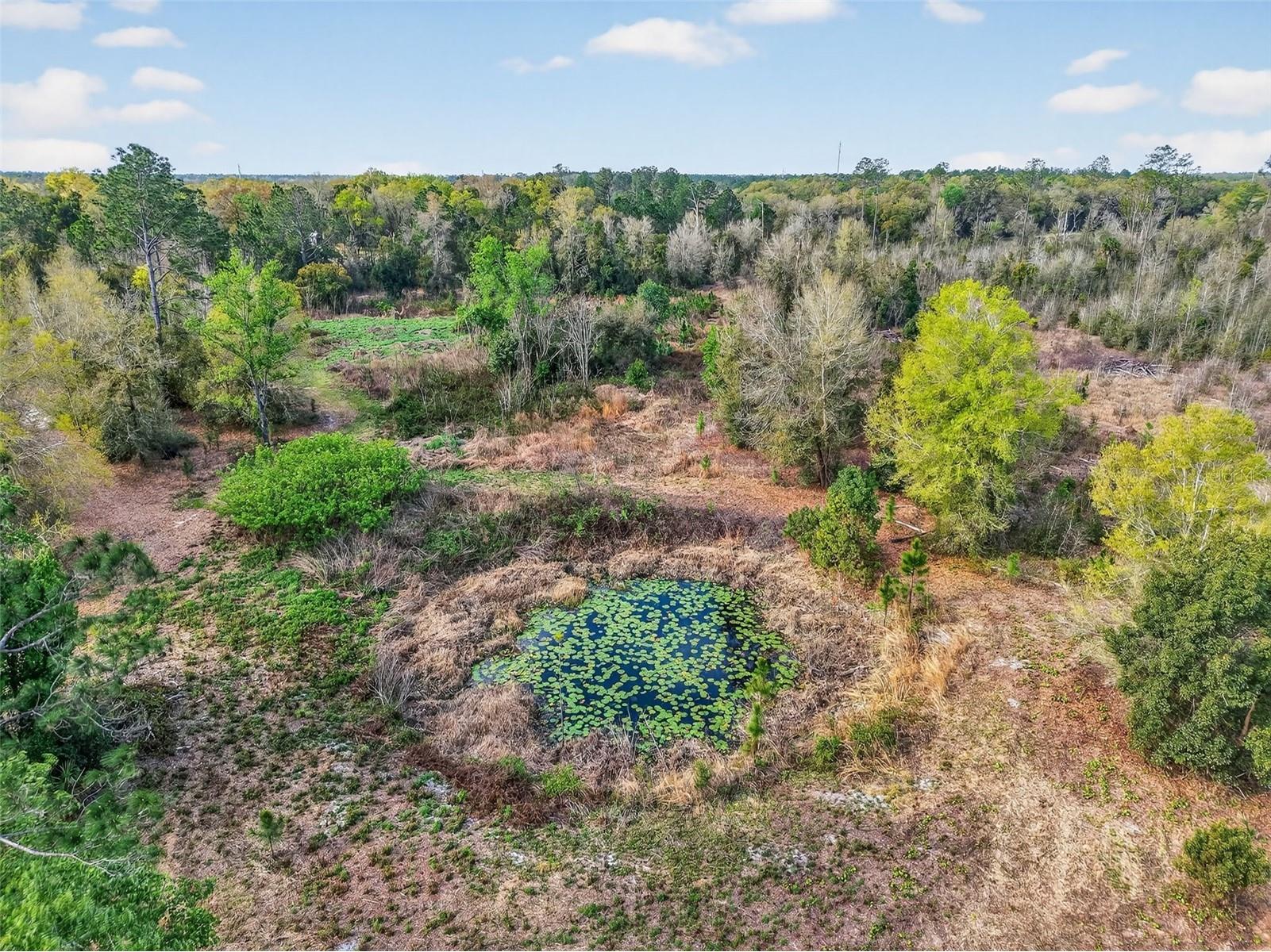 Island Pond Lane Eustis FL 32736 G5109920 image2