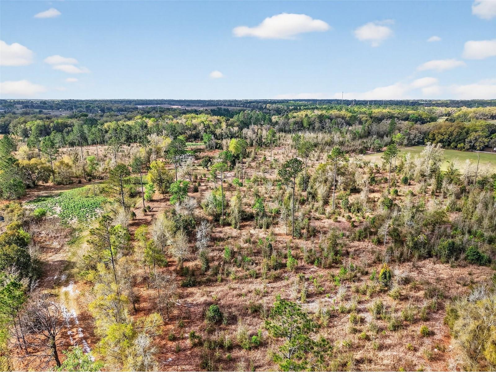Island Pond Lane Eustis FL 32736 G5109920 image20