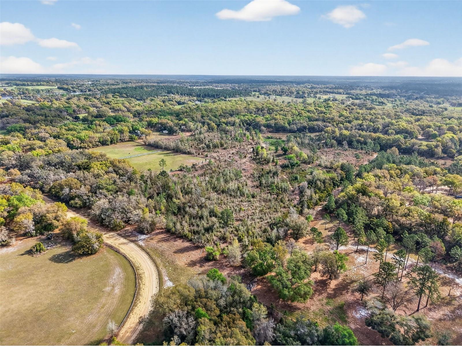 Island Pond Lane Eustis FL 32736 G5109920 image7