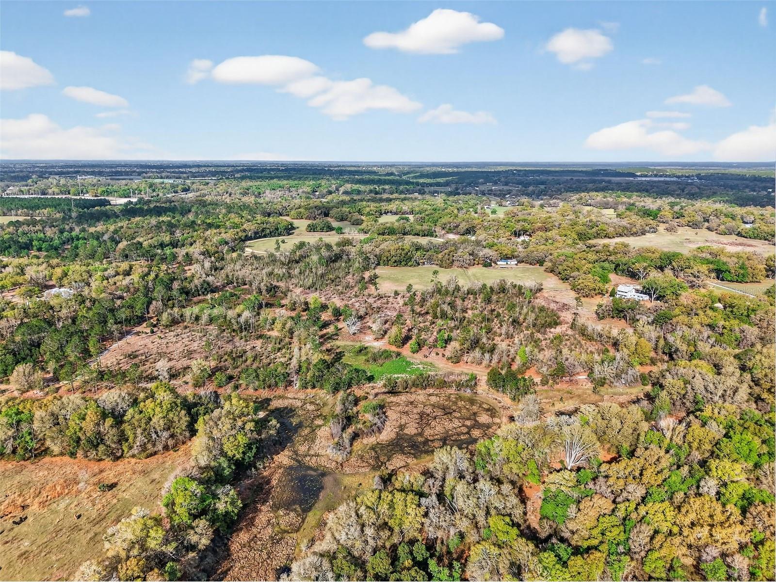 Island Pond Lane Eustis FL 32736 G5109920 image8