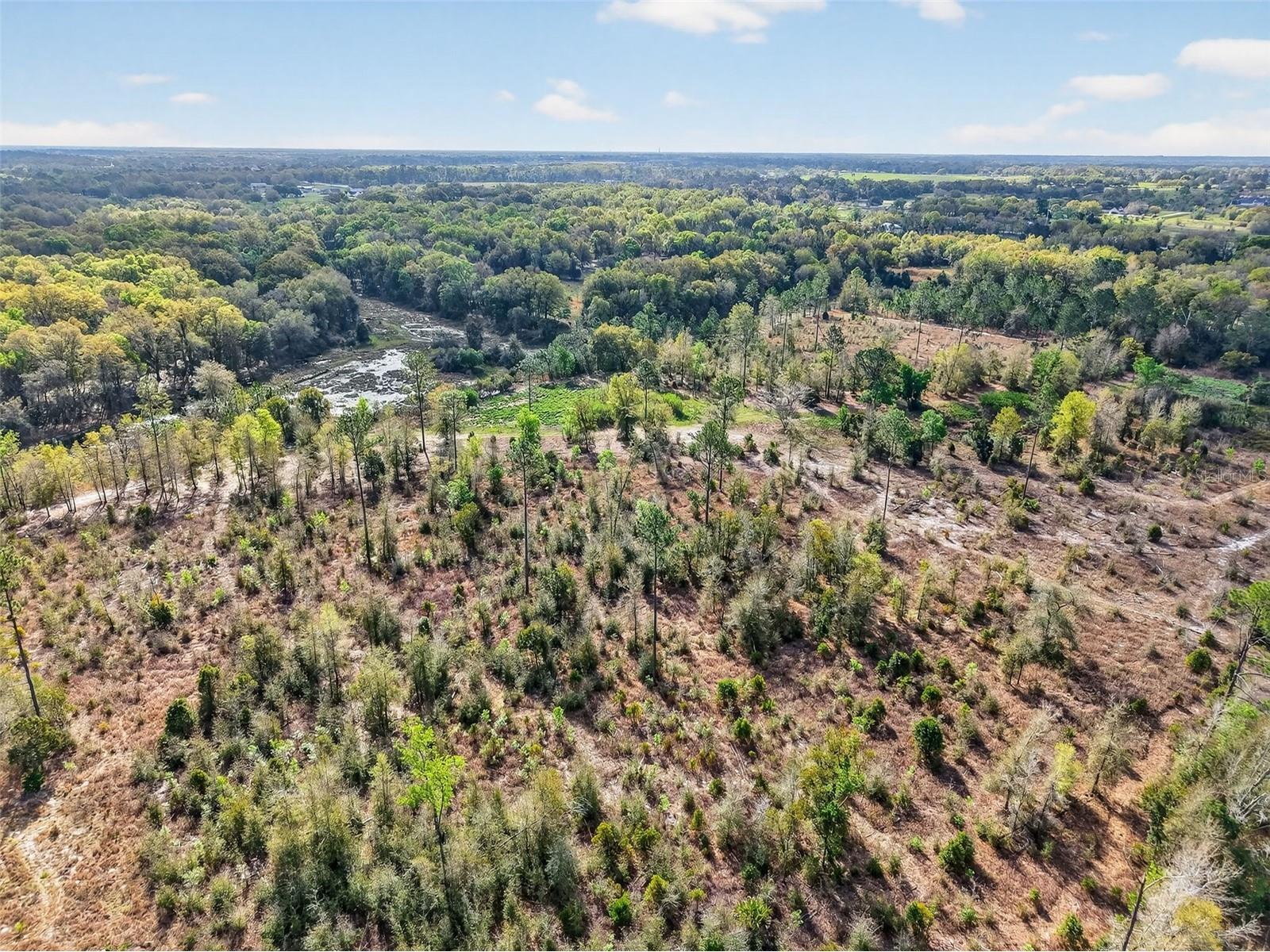 Island Pond Lane Eustis FL 32736 G5109920 image9