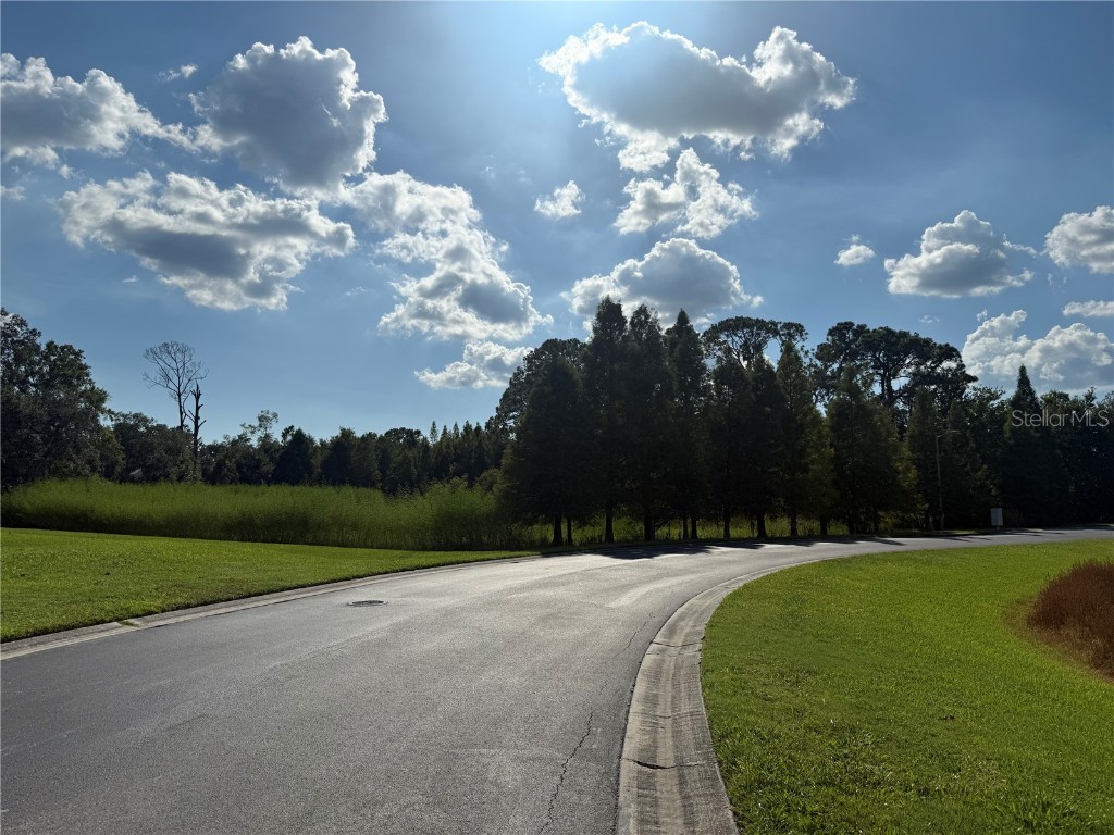 Island Shores Lane Lakeland FL 33809 TB8430703 image10