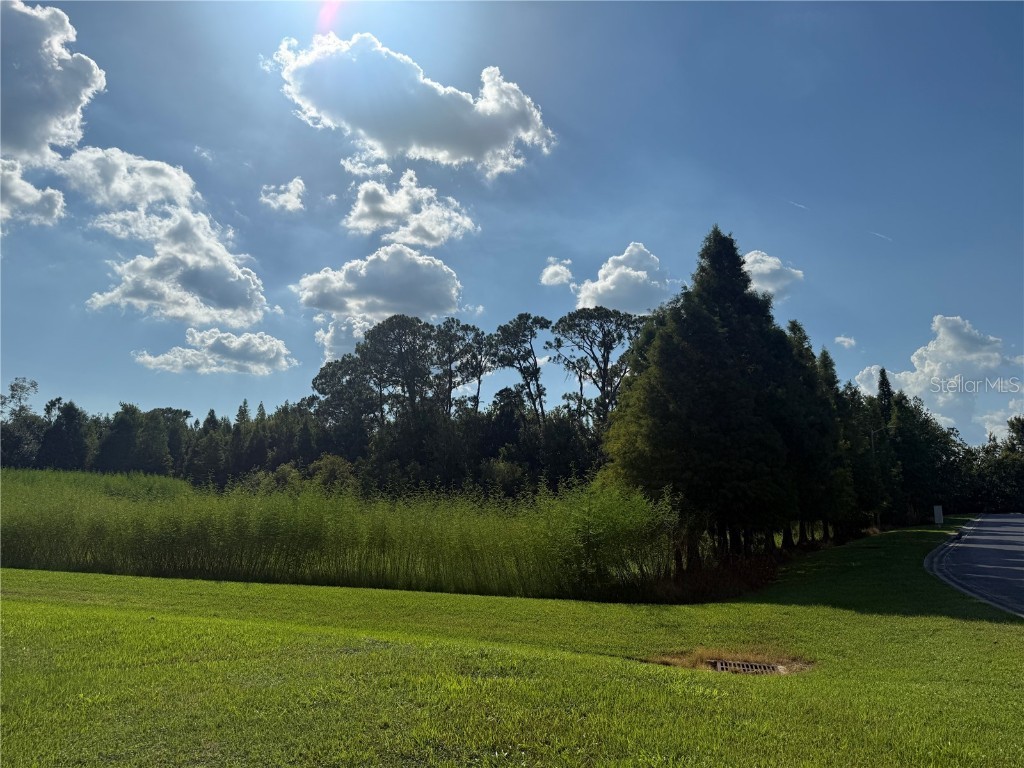 Island Shores Lane Lakeland FL 33809 TB8430703 image11