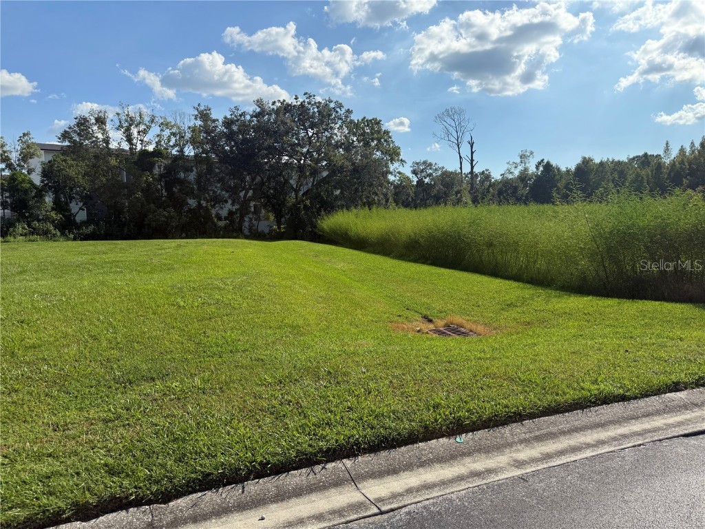 Island Shores Lane Lakeland FL 33809 TB8430703 image4