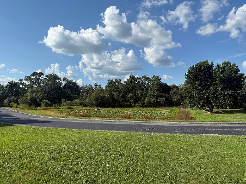 Island Shores Lane Lakeland FL 33809 TB8430703 image8