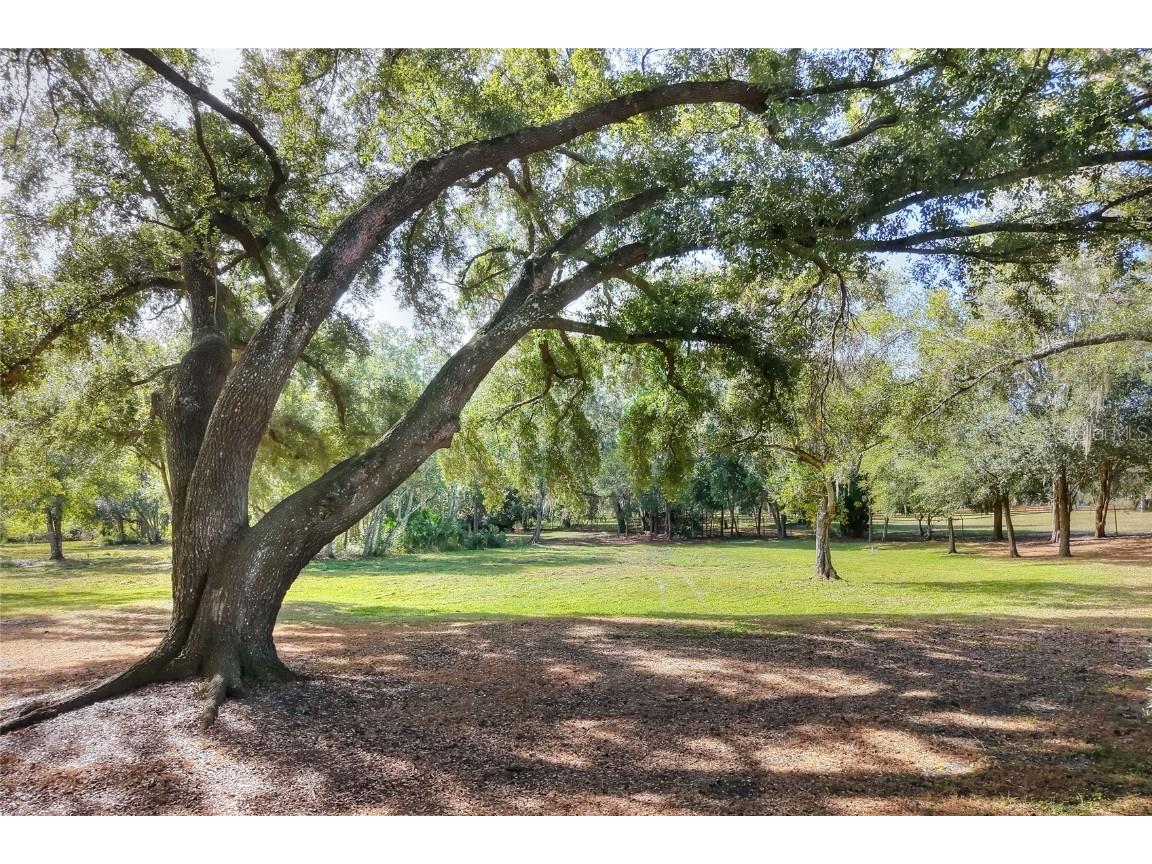 Island Way Winter Haven FL 33884 L4957543 image10