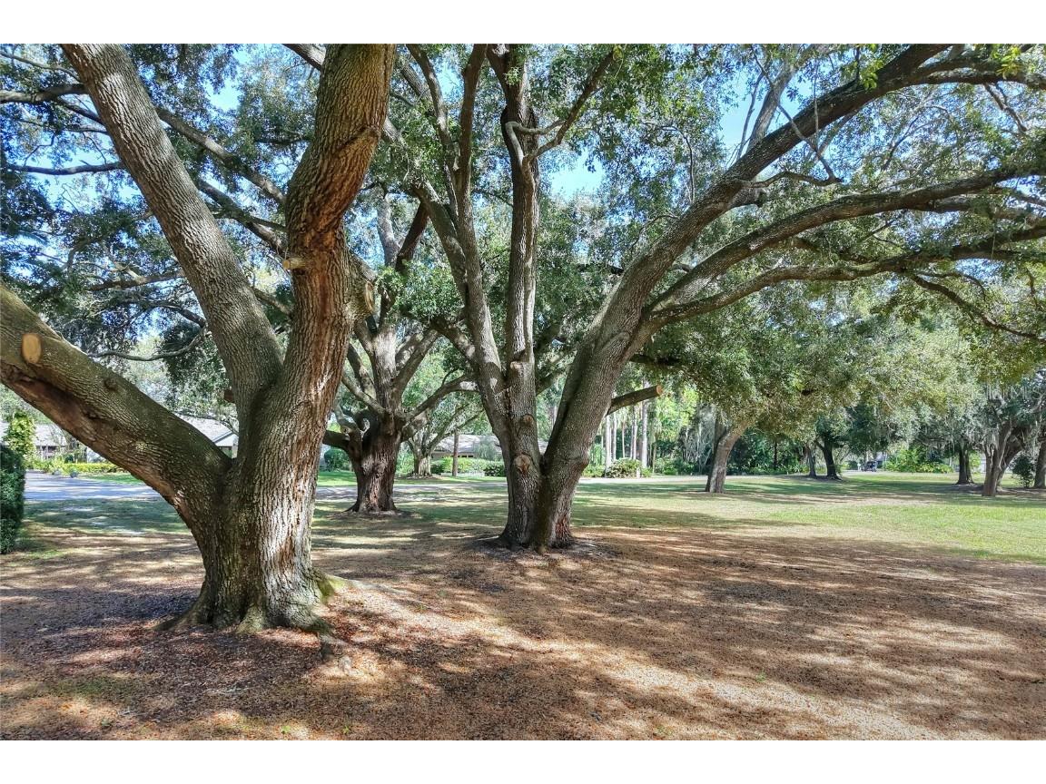 Island Way Winter Haven FL 33884 L4957543 image11