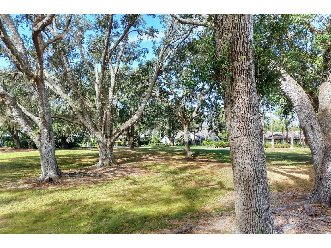 Island Way Winter Haven FL 33884 L4957543 image13