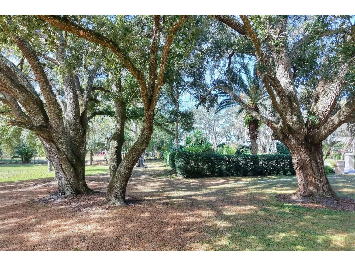 Island Way Winter Haven FL 33884 L4957543 image3