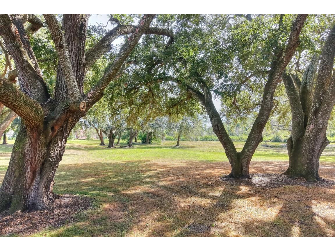 Island Way Winter Haven FL 33884 L4957543 image8