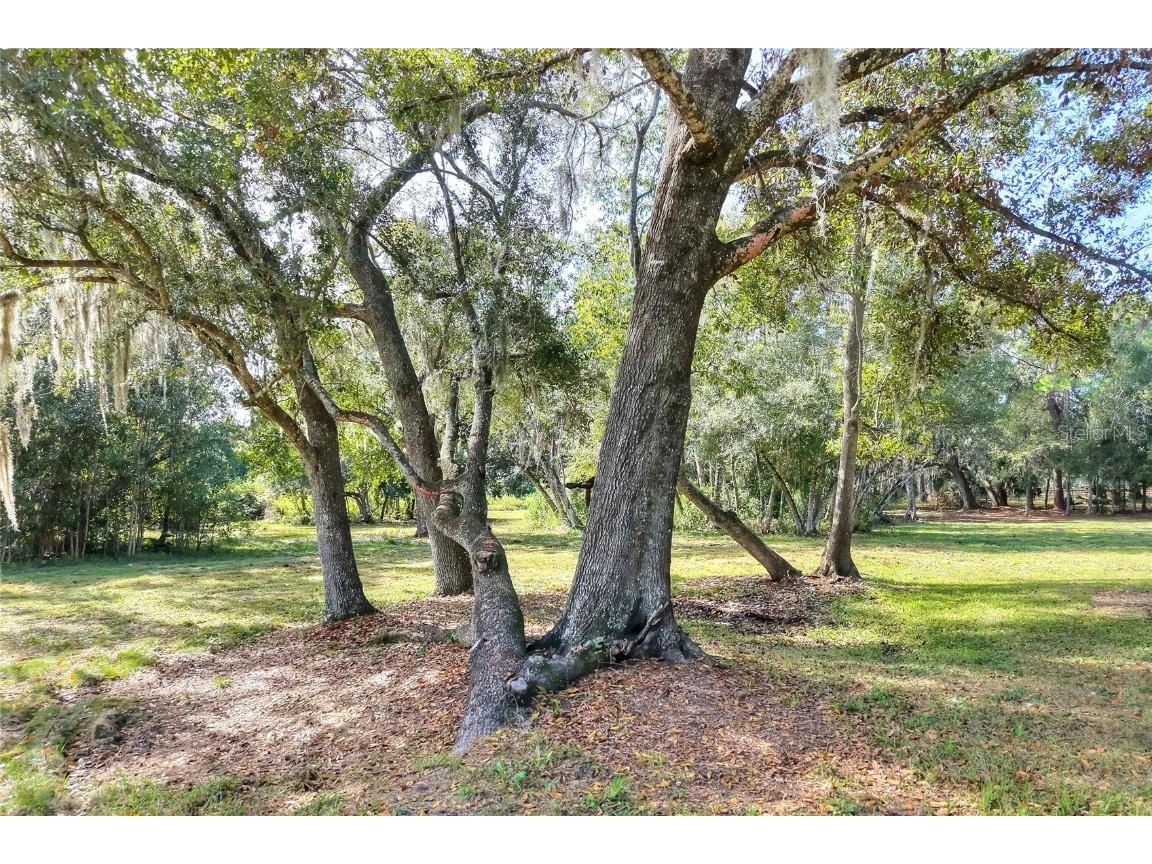 Island Way Winter Haven FL 33884 L4957543 image9