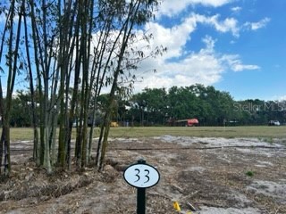 Isleworth Gardens Drive Windermere FL 34786 O6093639 image1