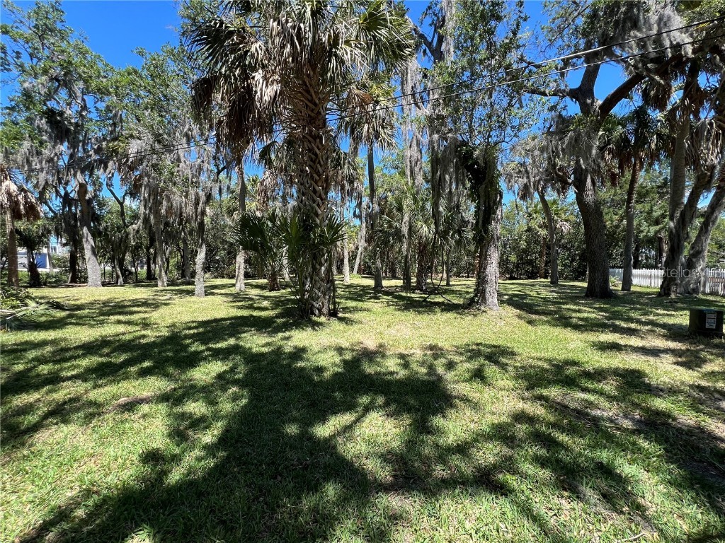 Isthmus Drive New Port Richey FL 34652 T3523962 image1