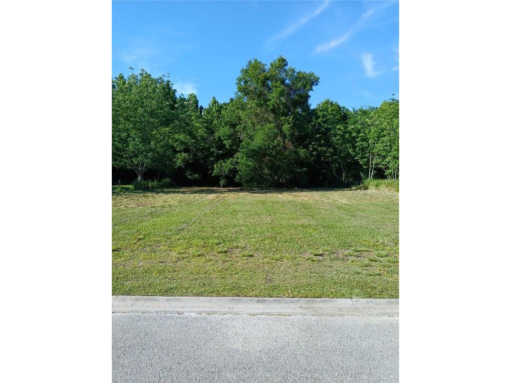 Ivy Mist Lane Davenport FL 33896 S5102503 image1