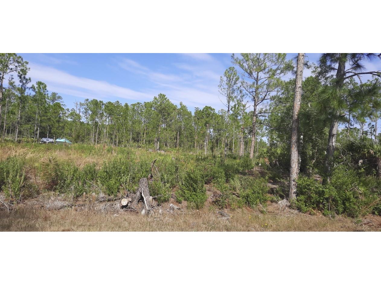  Indian Lake Estates FL 33855 - LAKE WALK-IN-WATER TB8325422 image1