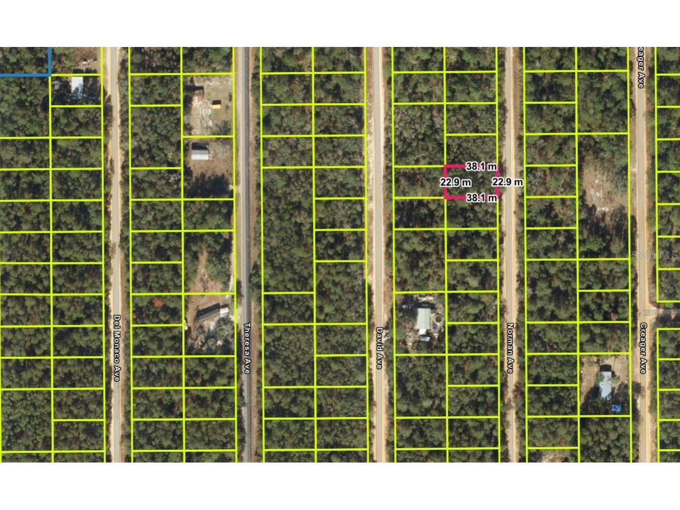  Interlachen FL 32148 O6393351 image2