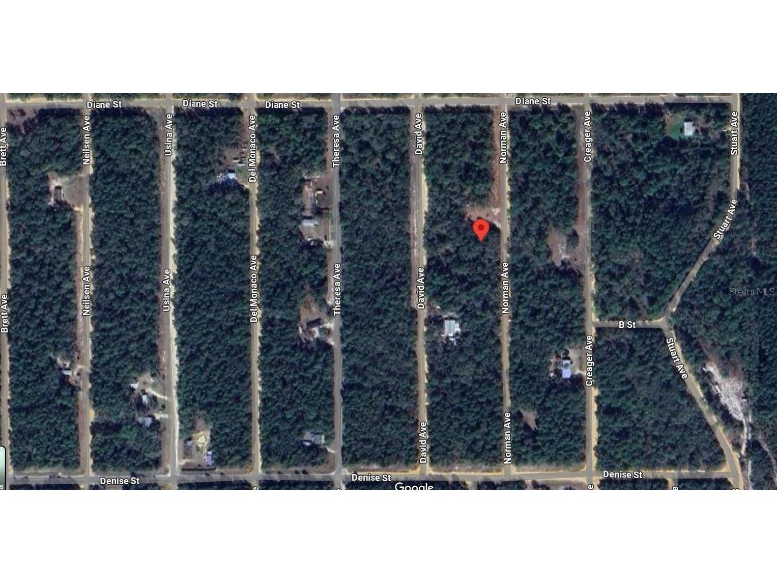  Interlachen FL 32148 O6393351 image3