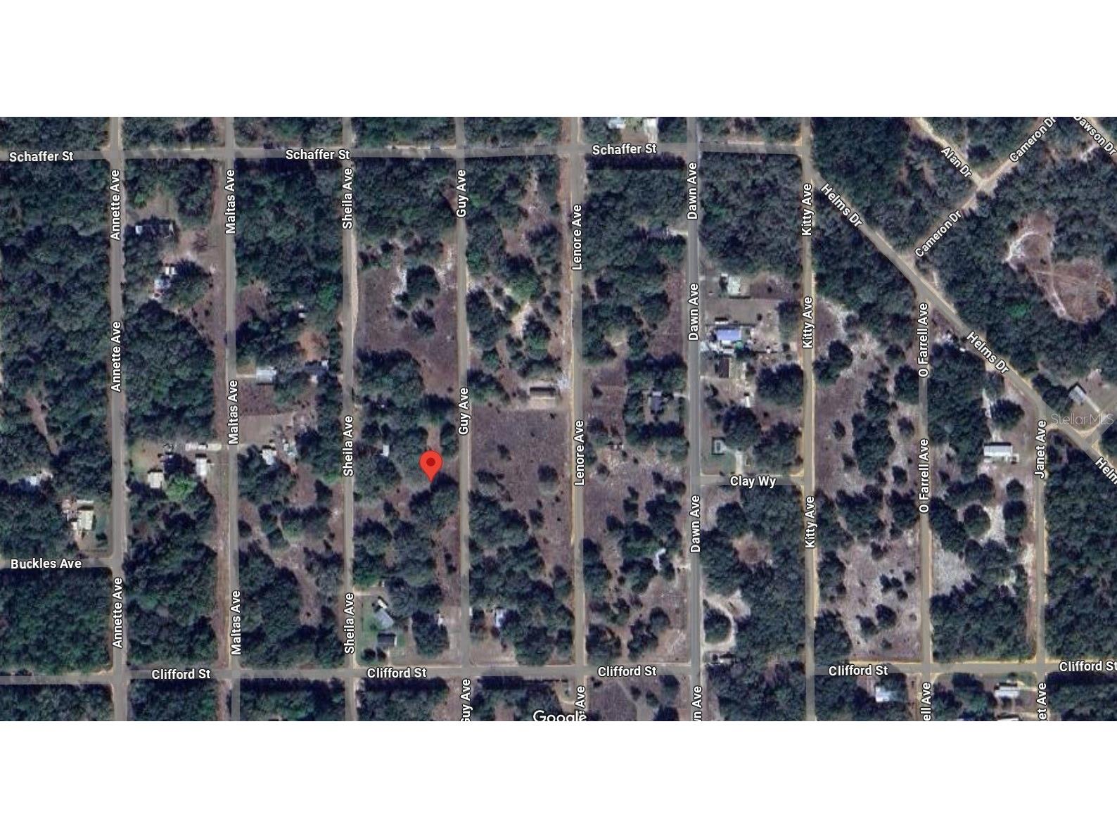  Interlachen FL 32148 O6393354 image4