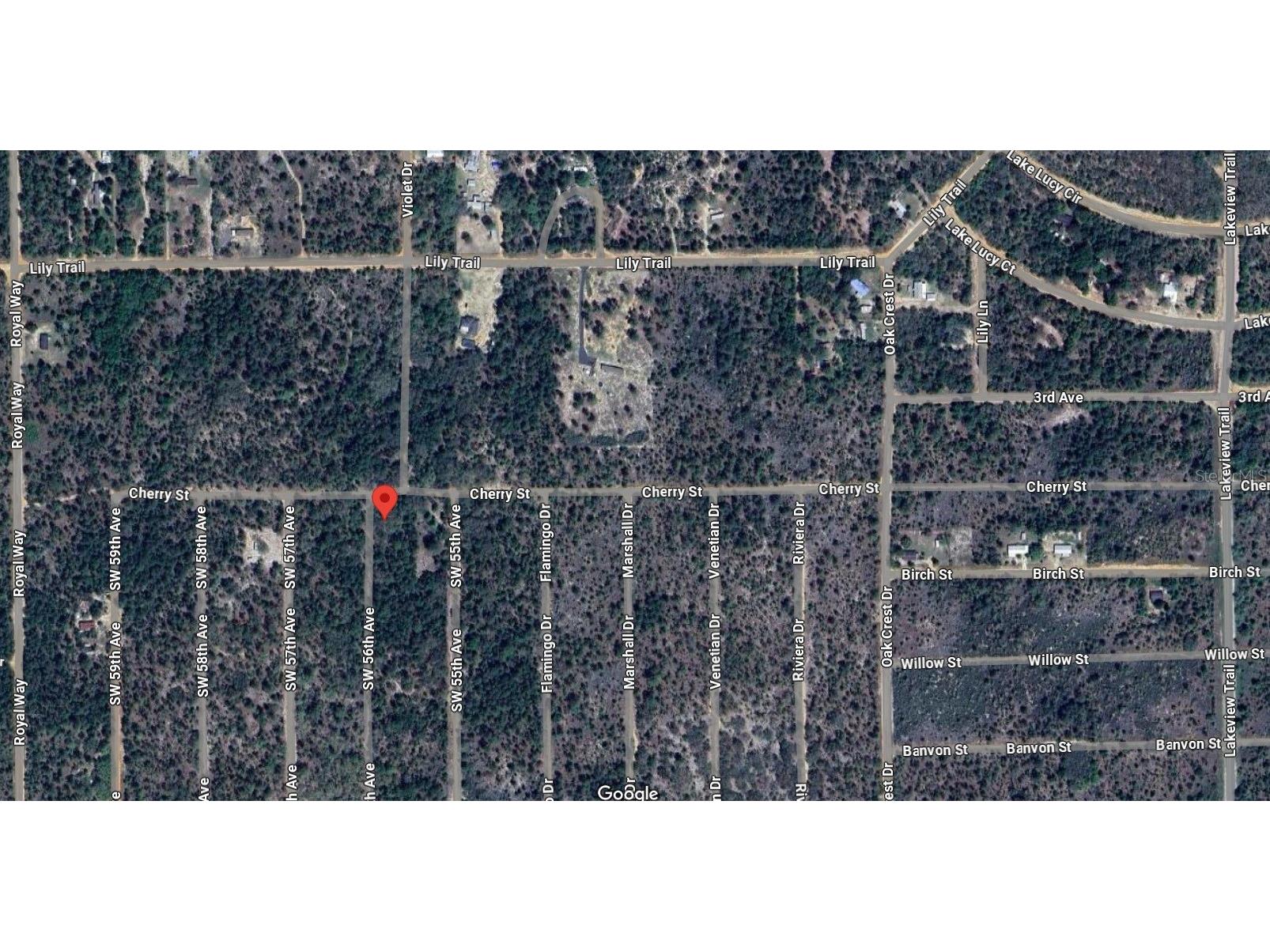  Interlachen FL 32148 O6393387 image1