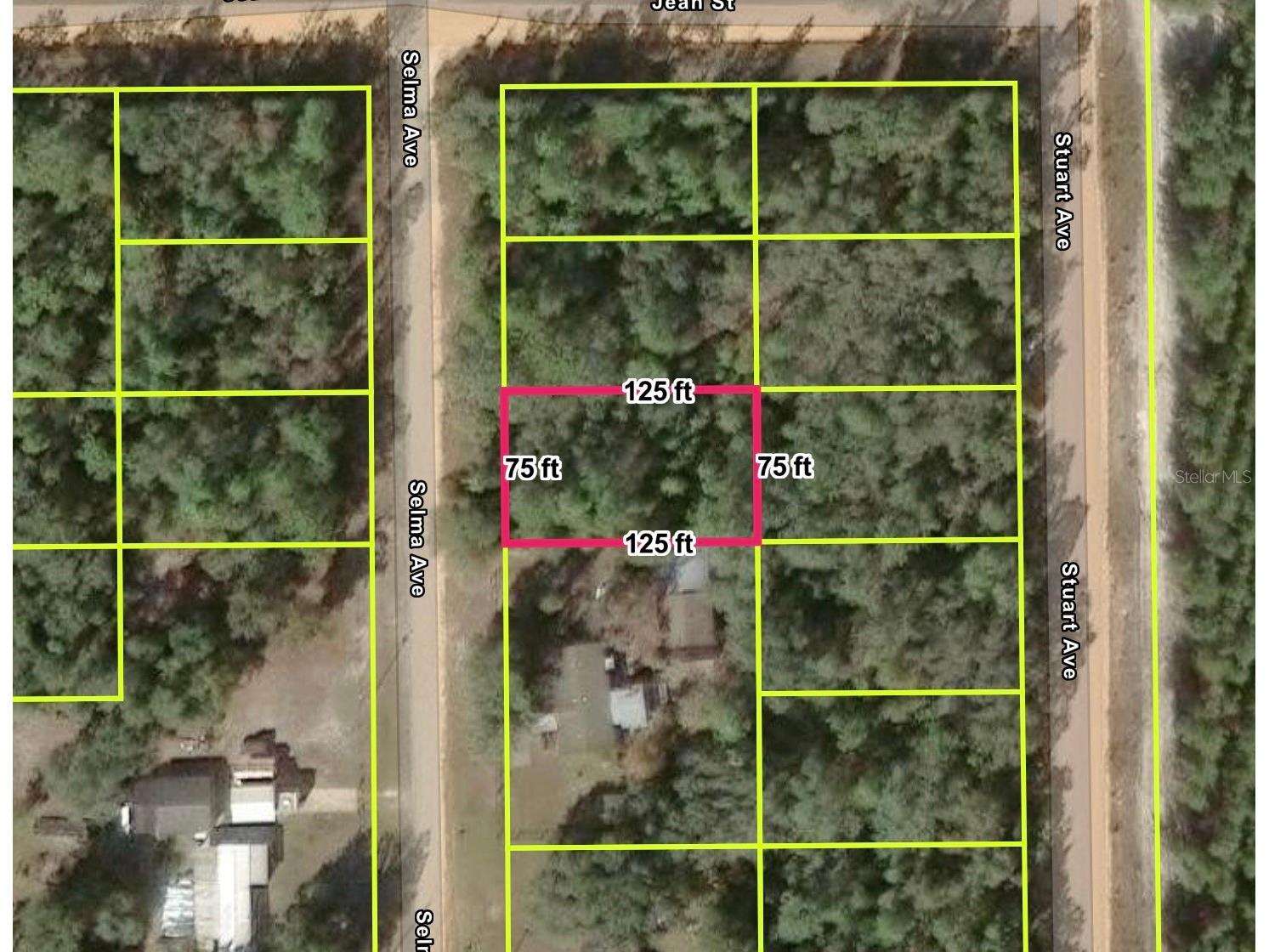  Interlachen FL 32148 O6393401 image1