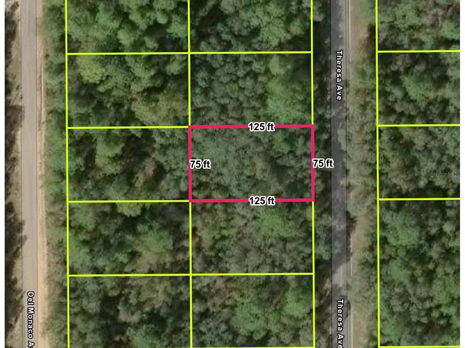  Interlachen FL 32148 O6393408 image1