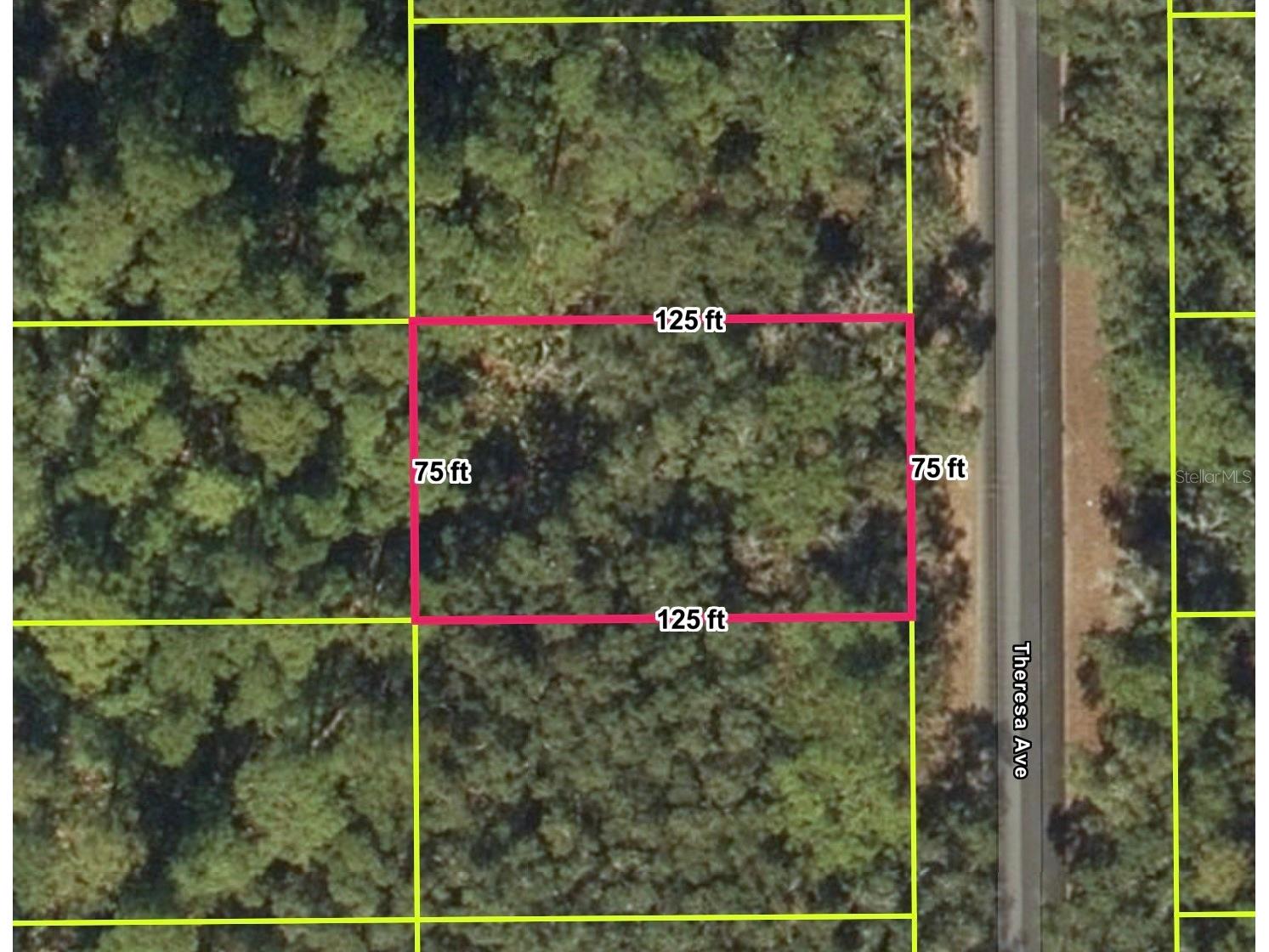 Interlachen FL 32148 O6393412 image1