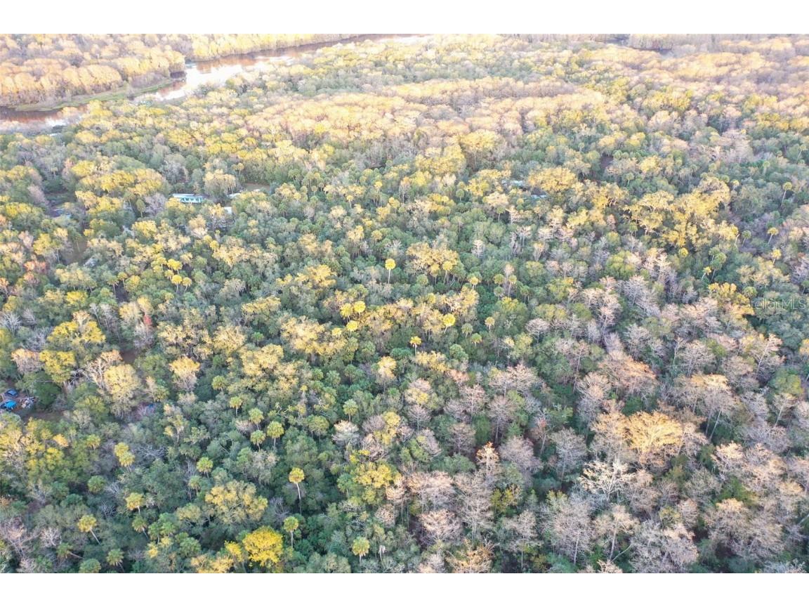  Inverness FL 34450 O6368406 image1