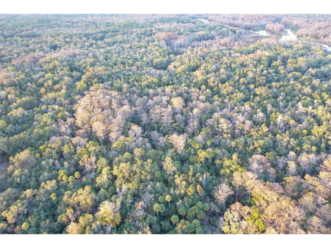  Inverness FL 34450 O6368406 image17