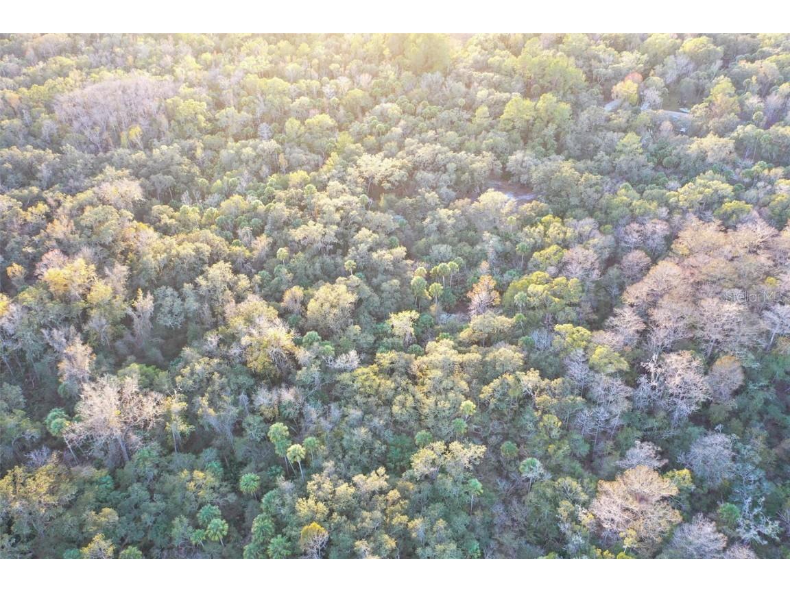  Inverness FL 34450 O6368406 image18