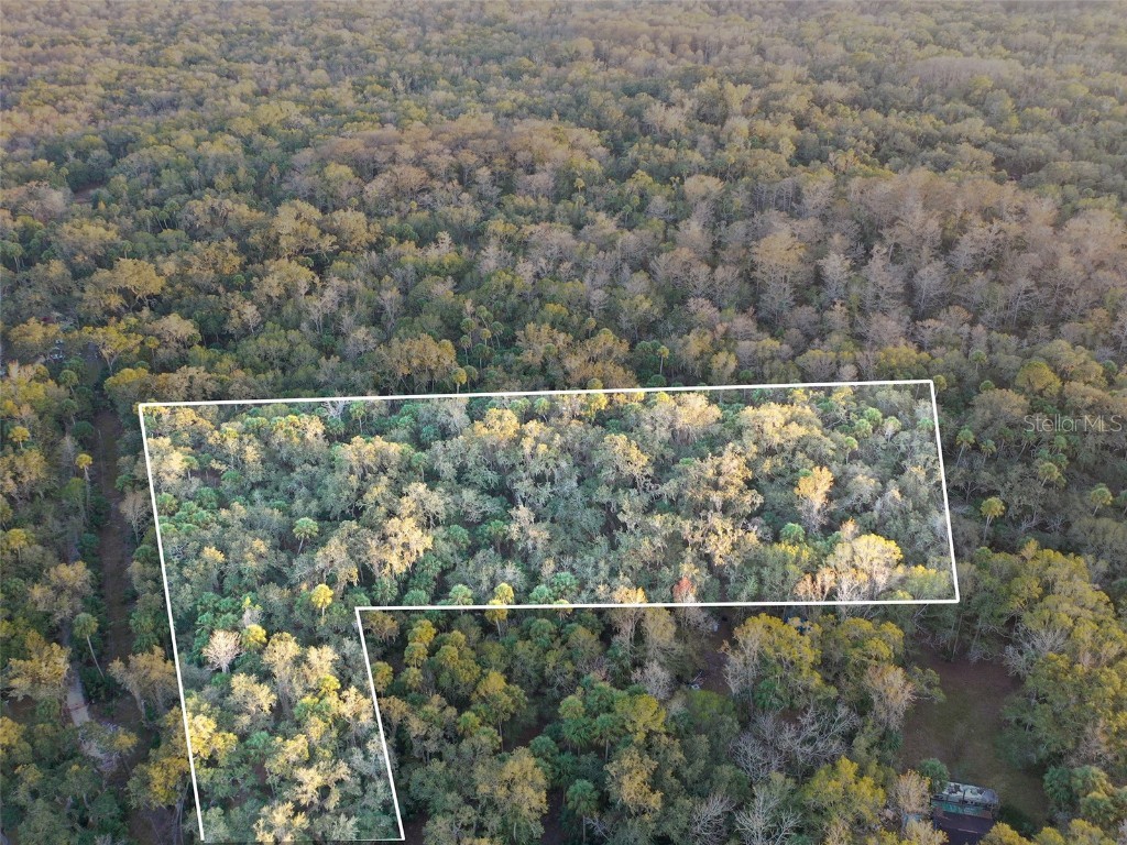  Inverness FL 34450 O6368406 image2