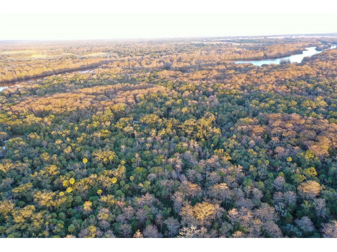 Inverness FL 34450 O6368406 image4