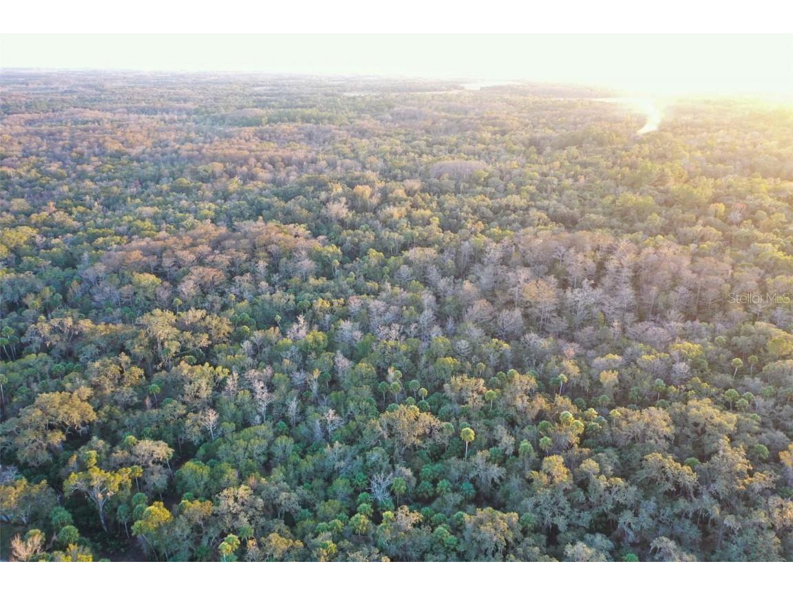  Inverness FL 34450 O6368406 image7