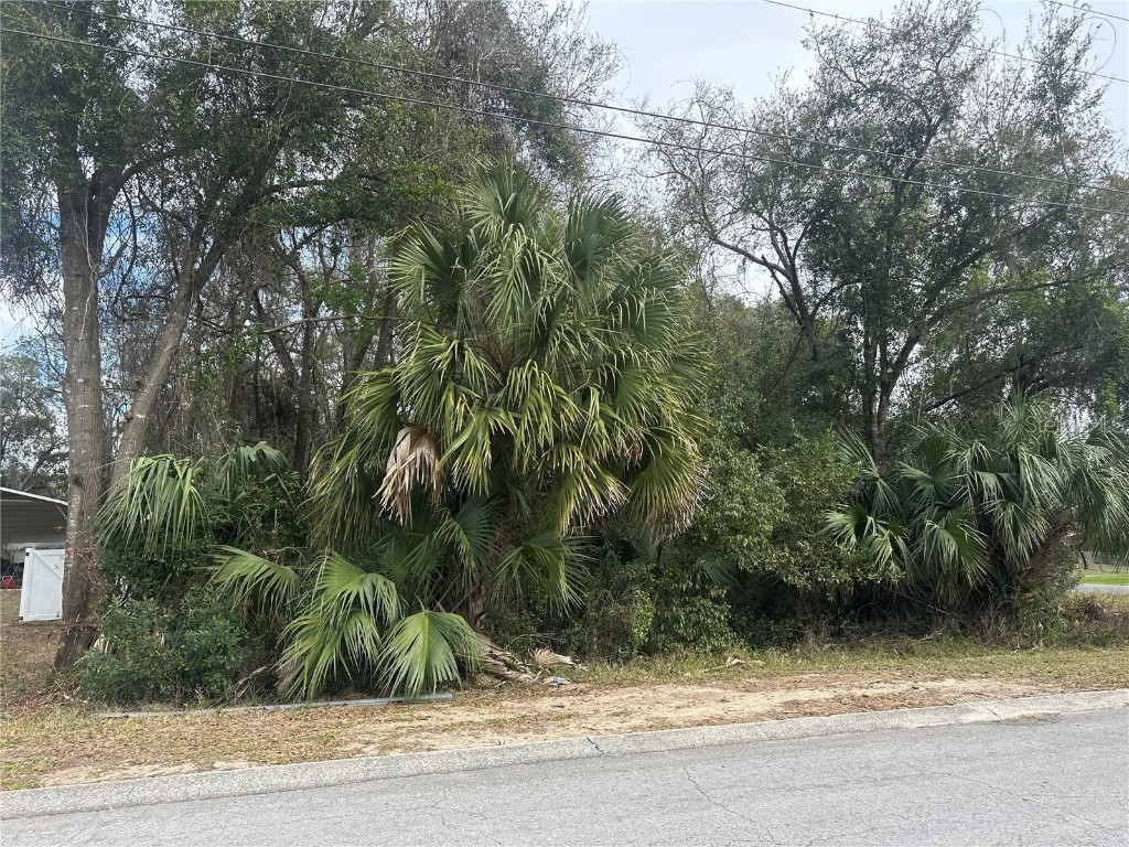  Inverness FL 34452 OM696292 image1