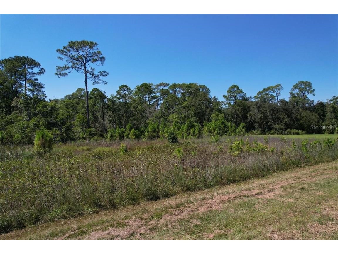 J B Carter Road Haines City FL 33844 A4630953 image5