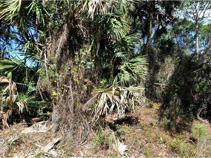 Jade Street North Port FL 34288 C7514983 image2