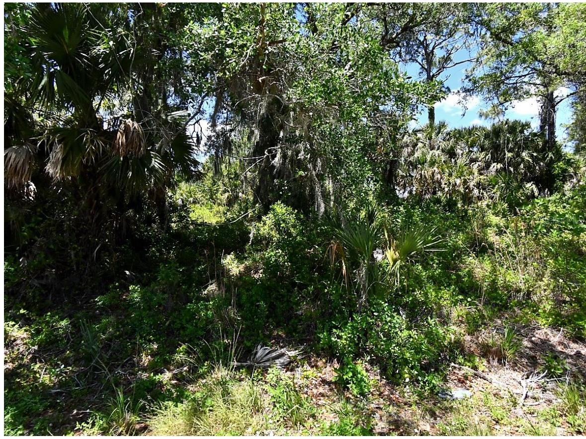 Jade Street North Port FL 34288 TB8526945 image1