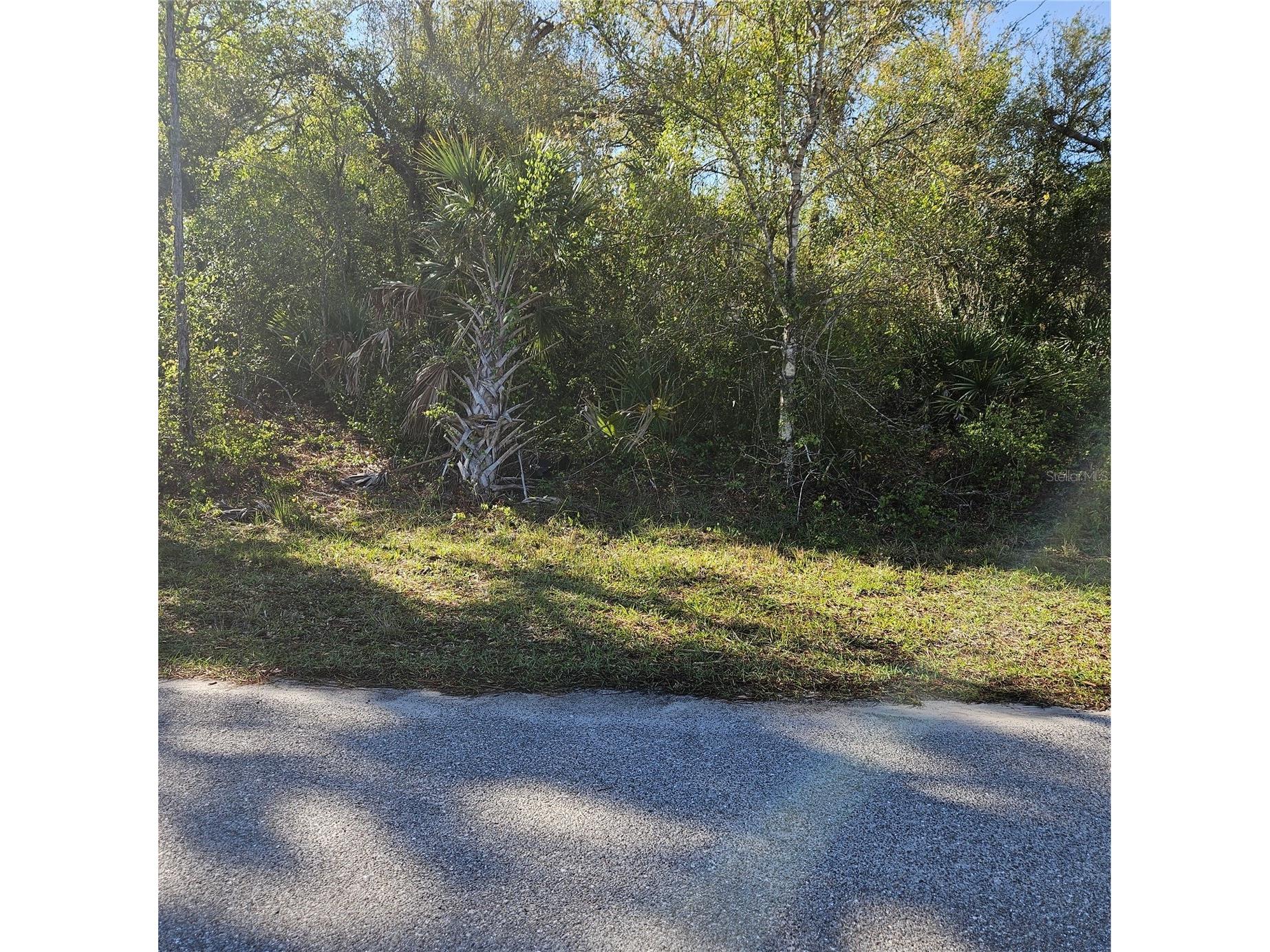 Jaffe Lane North Port FL 34288 C7522990 image1