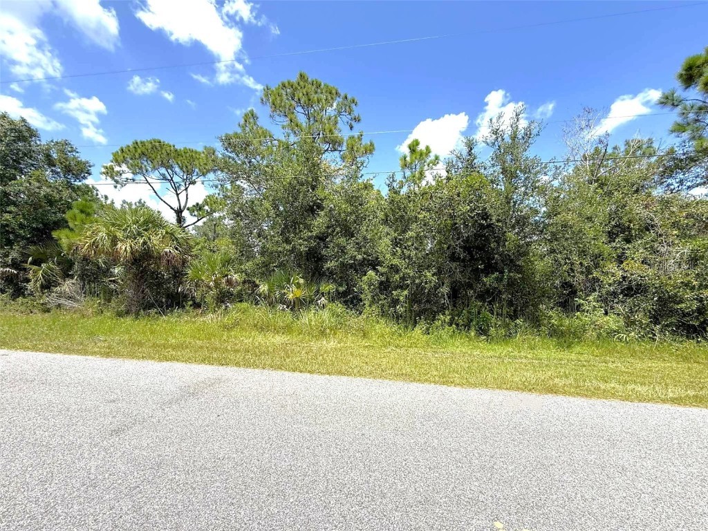 Jagust Road North Port FL 34288 C7514162 image2