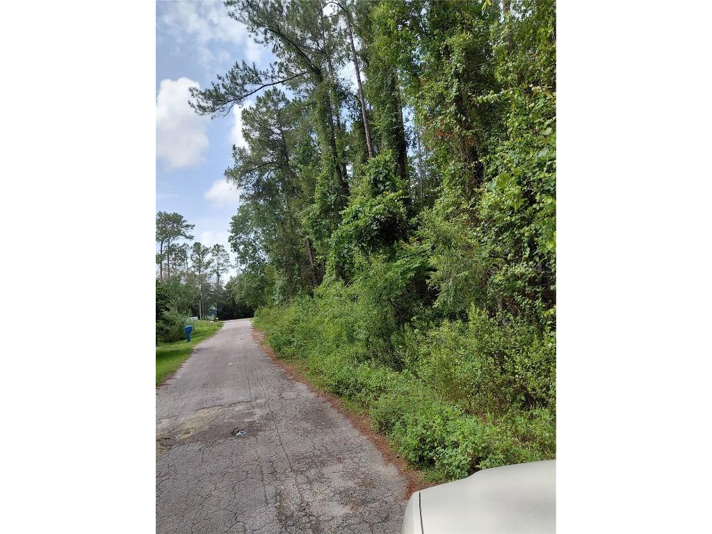 James Street Astor FL 32102 O6311269 image1