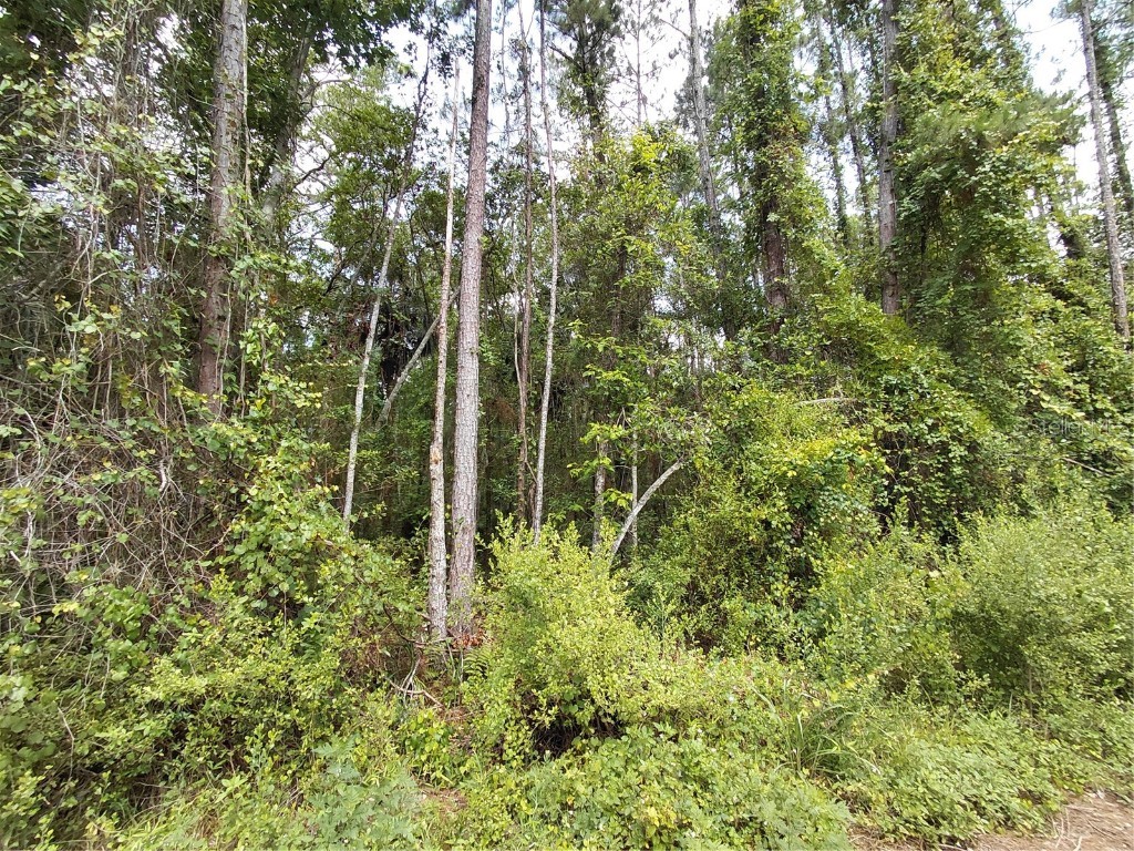 James Street Astor FL 32102 O6311269 image2